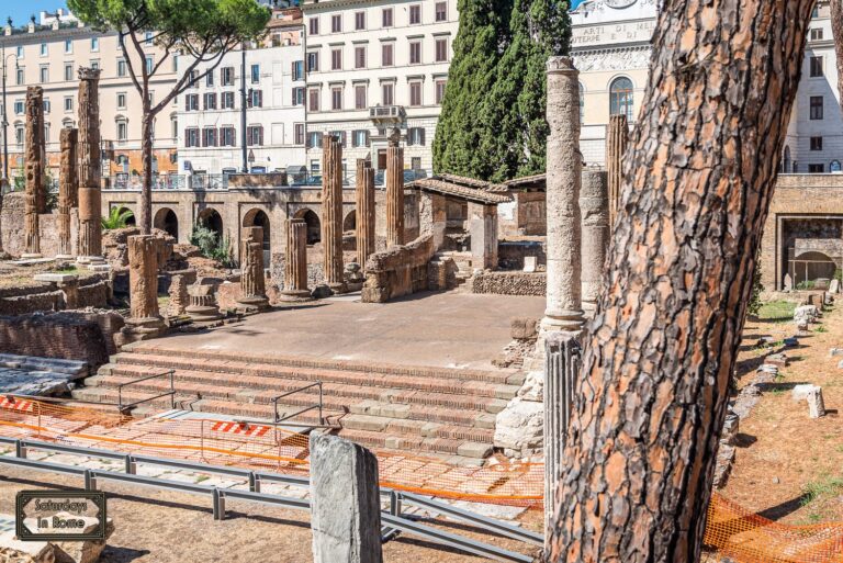 Largo Di Torre Argentina Rome Is A Sanctuary In The Ruins