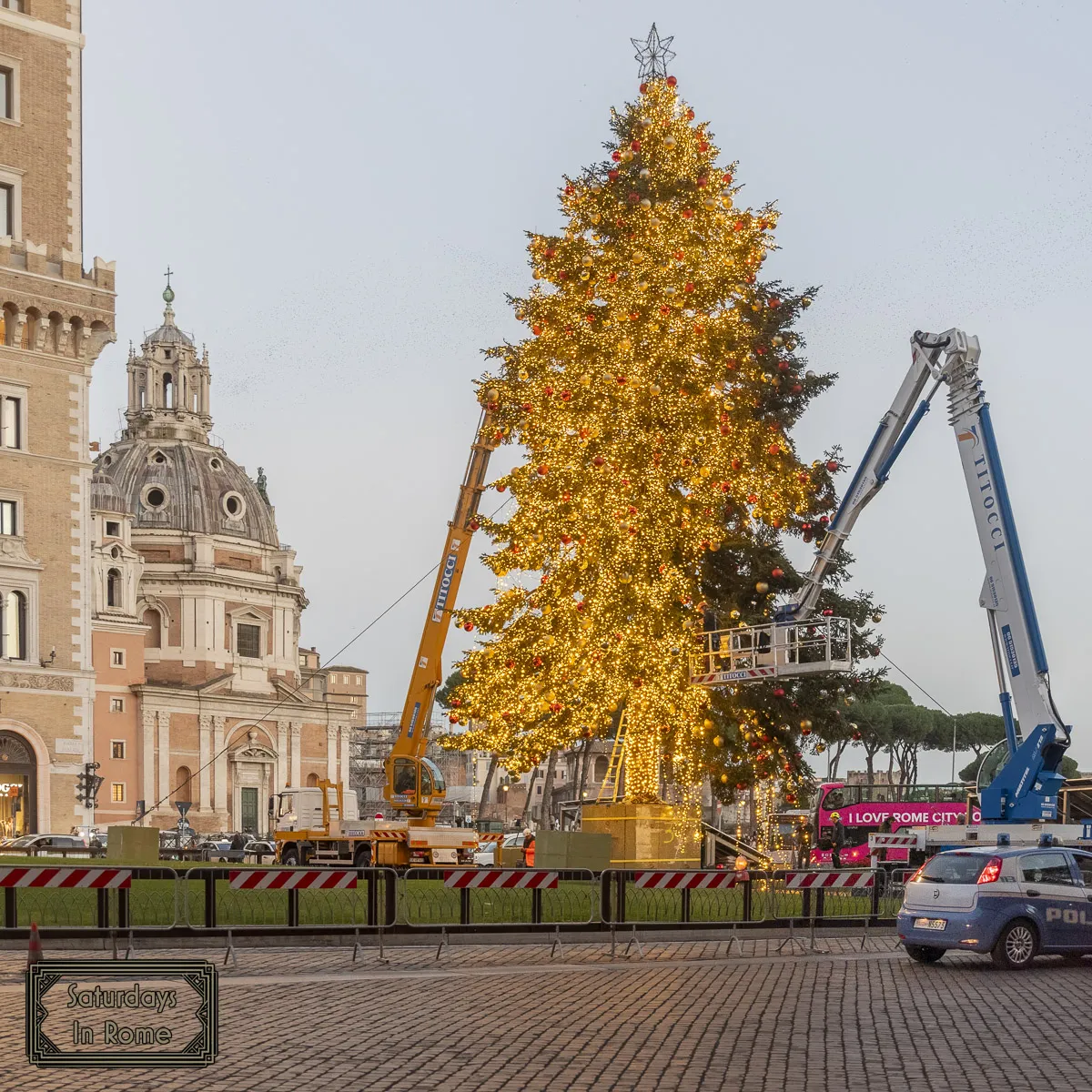 Rome in December - Xmas Tree