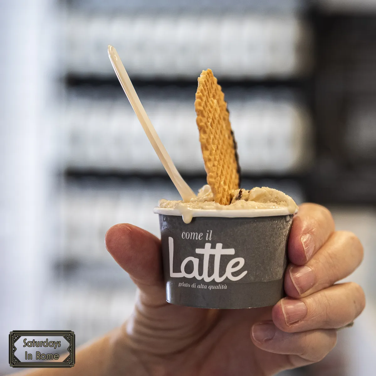 Best Gelato In Rome - Small Cup