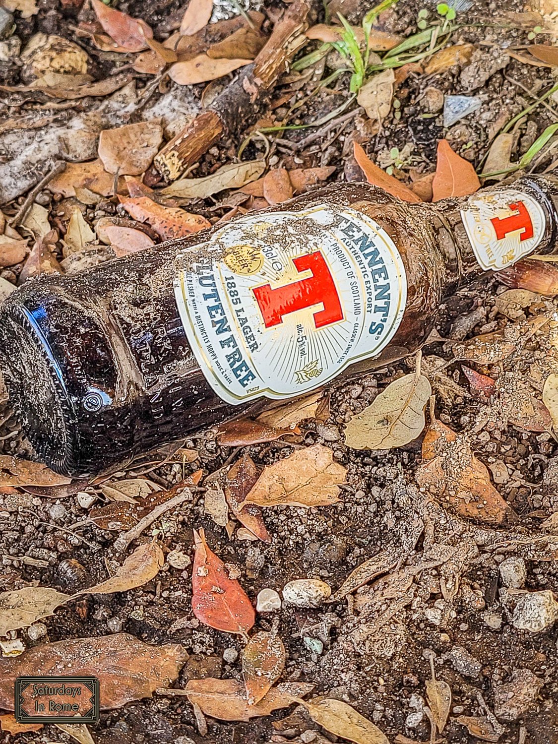 Do Italians Drink Beer - Outdoors