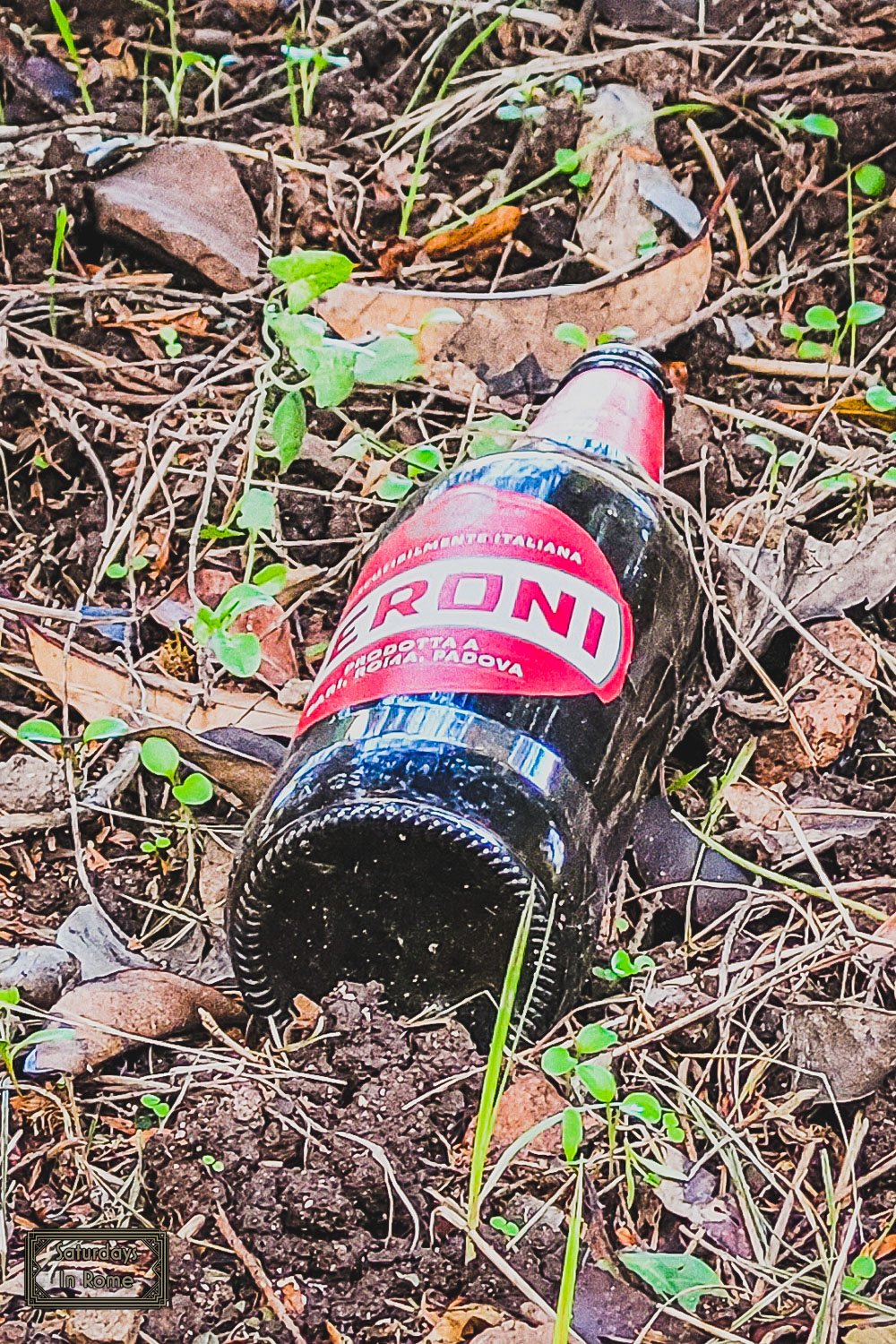 Do Italians Drink Beer - Drinking Outdoors