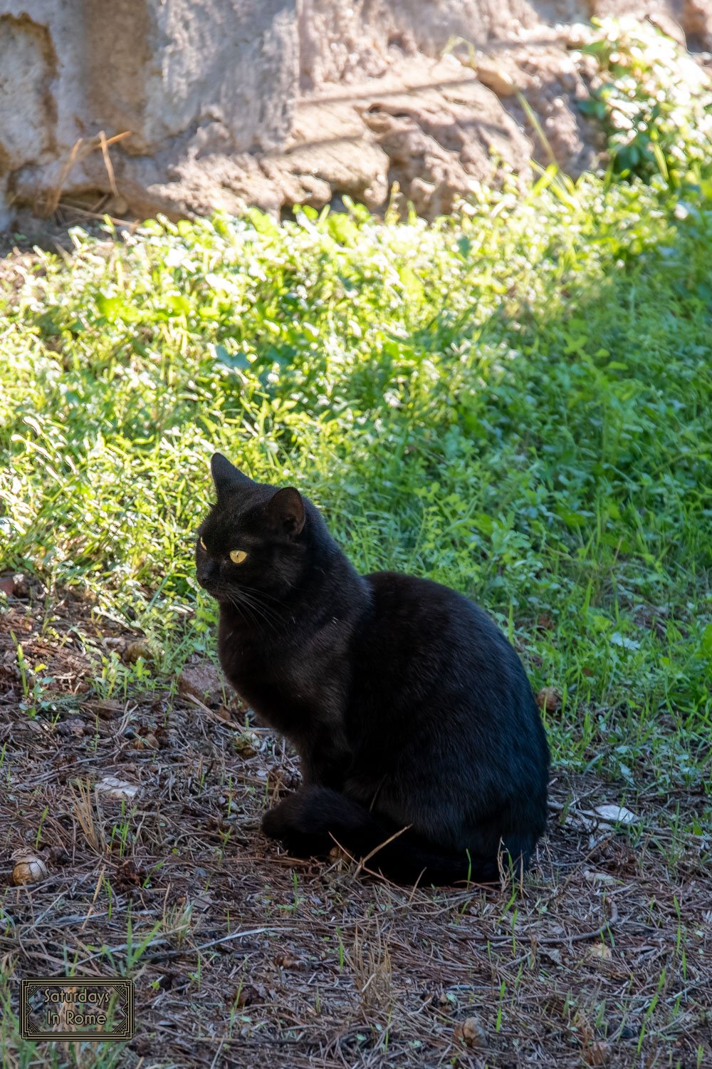 egyptian pyramid in rome - Cat Sanctuary