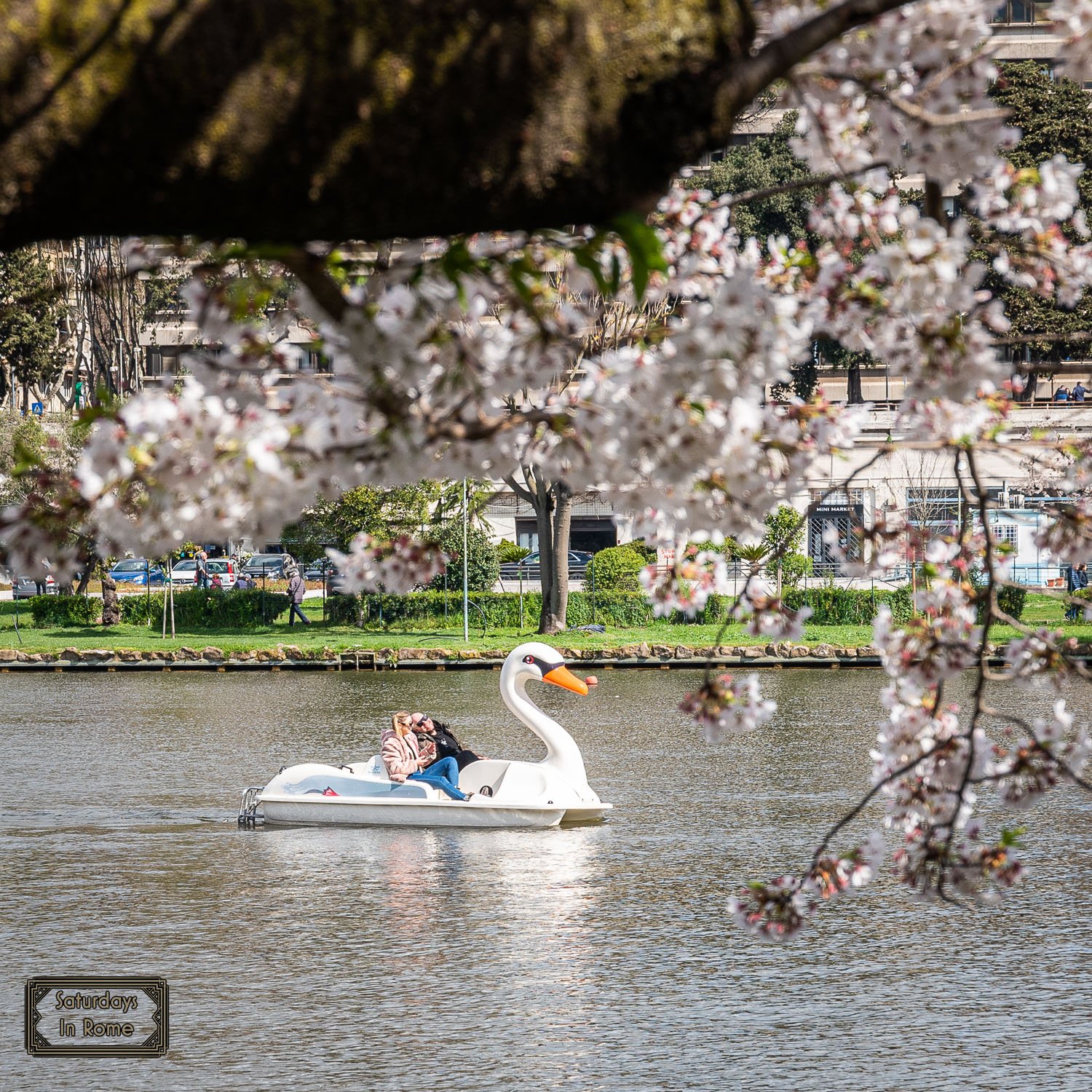 eur lake rome - blossoms