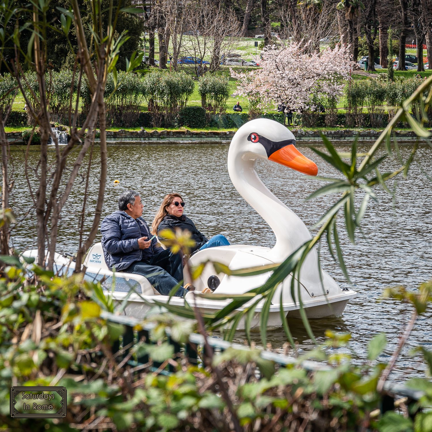 eur lake rome - swan boats