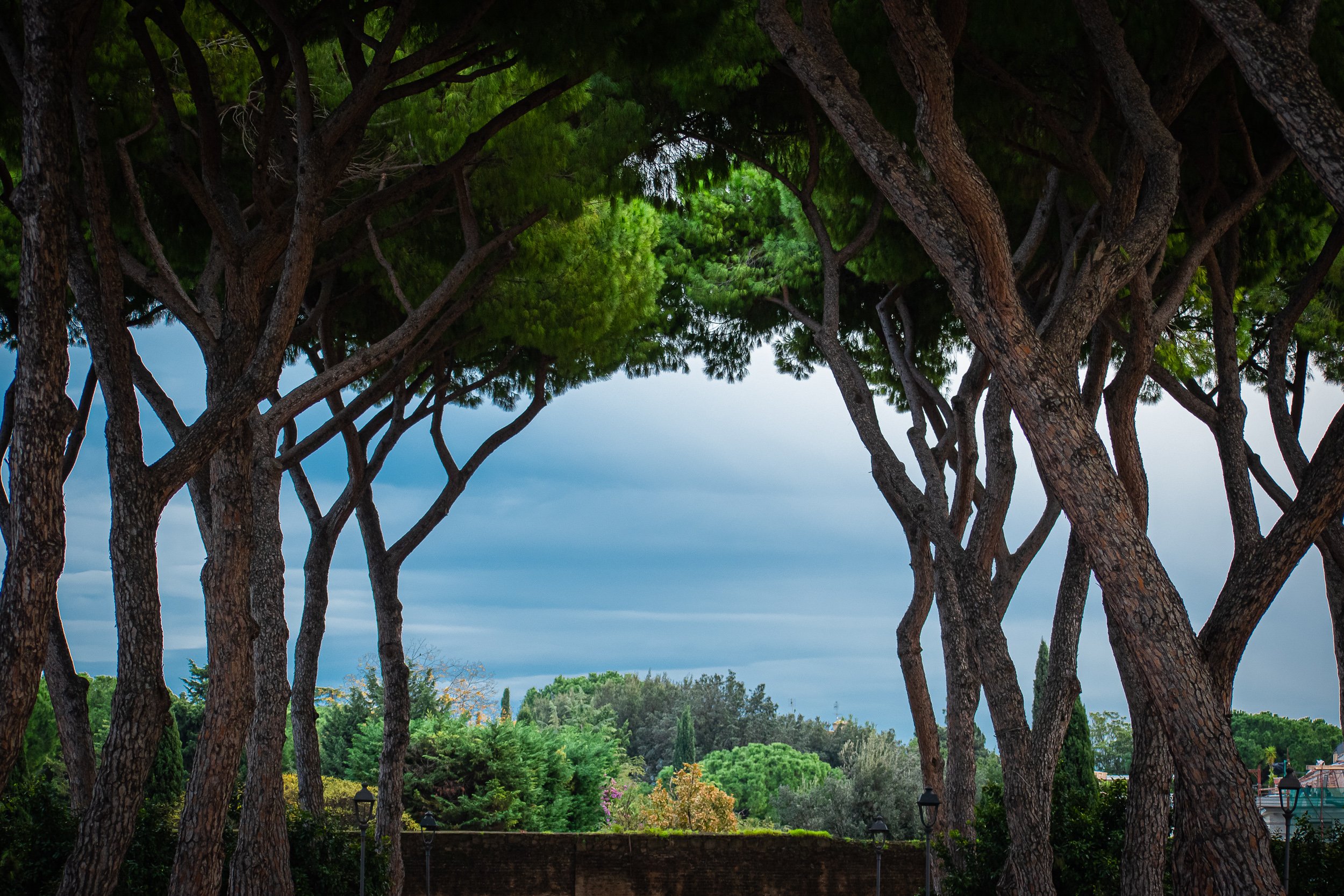 Second Time In Rome - Orange Garden