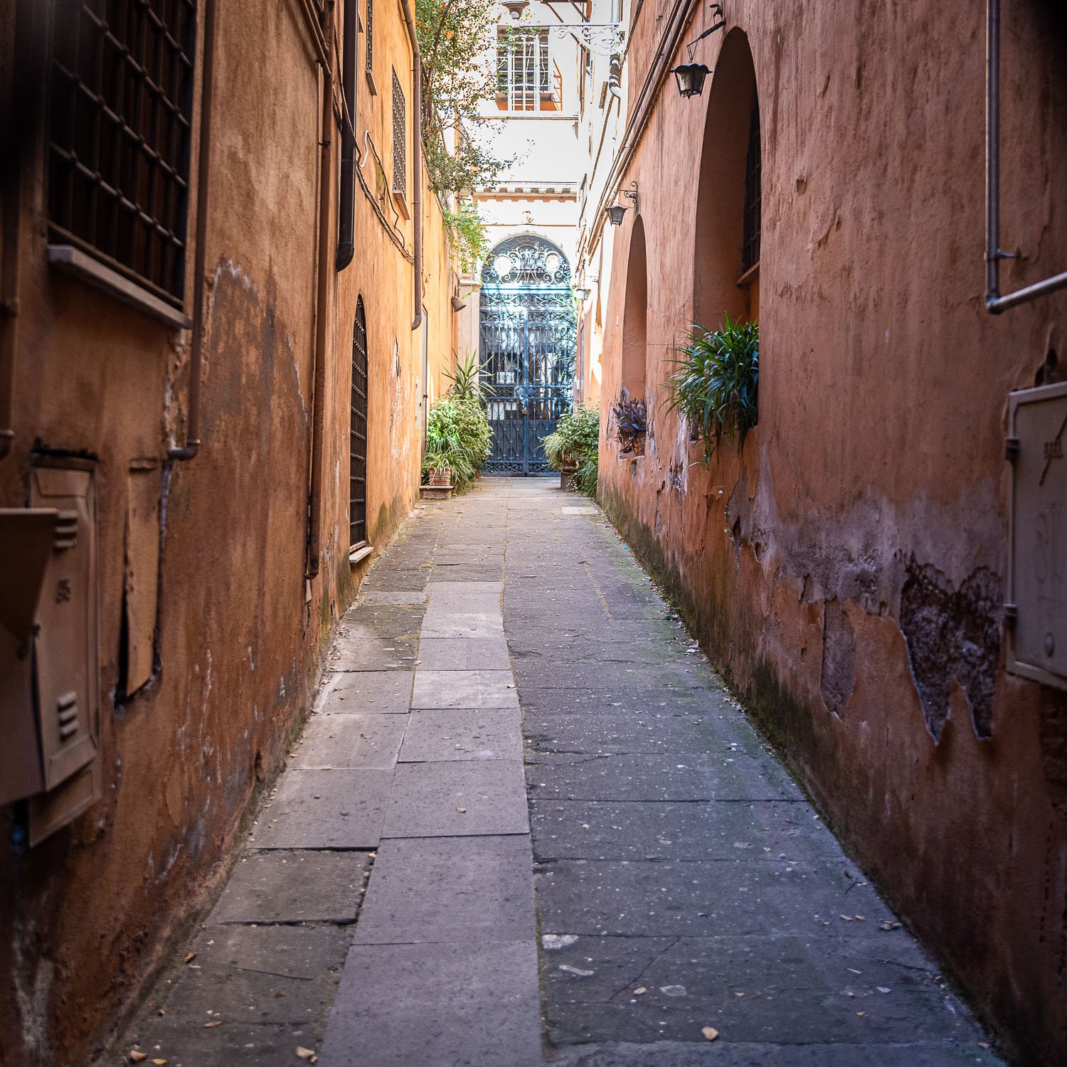 Small Church - Narrow Passages
