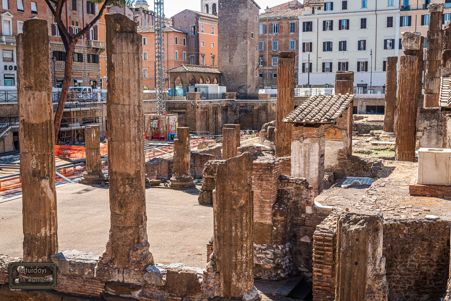 Largo di Torre Argentina - Cat Sanctuary
