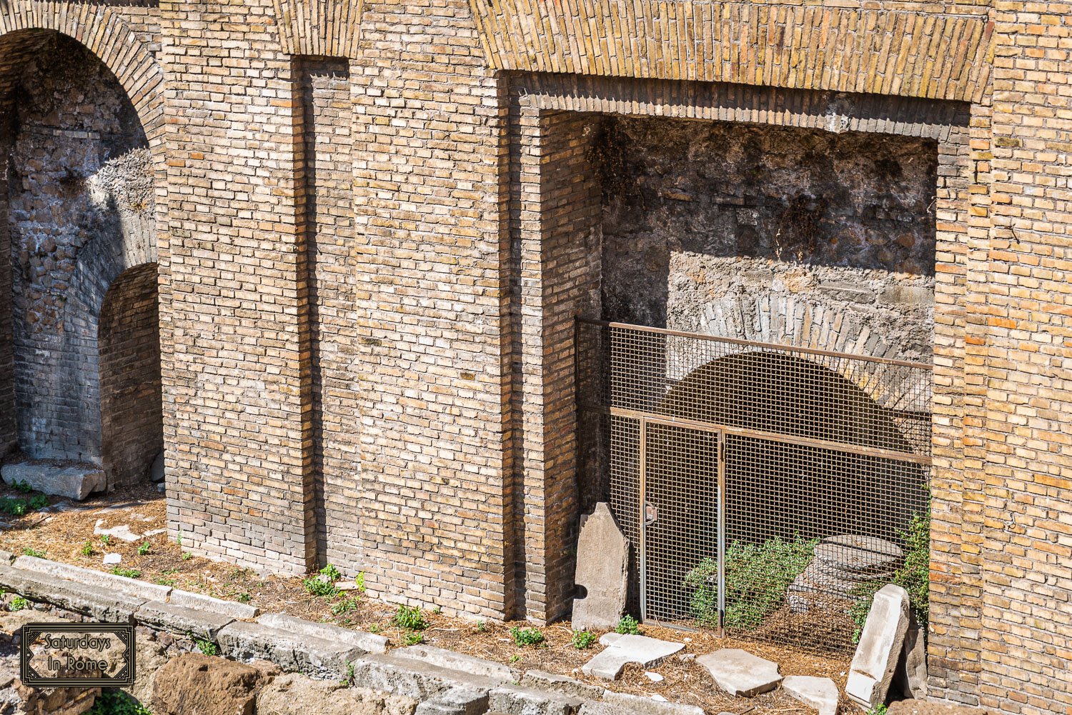 Largo di Torre Argentina - The Site of Caesar’s Assassination