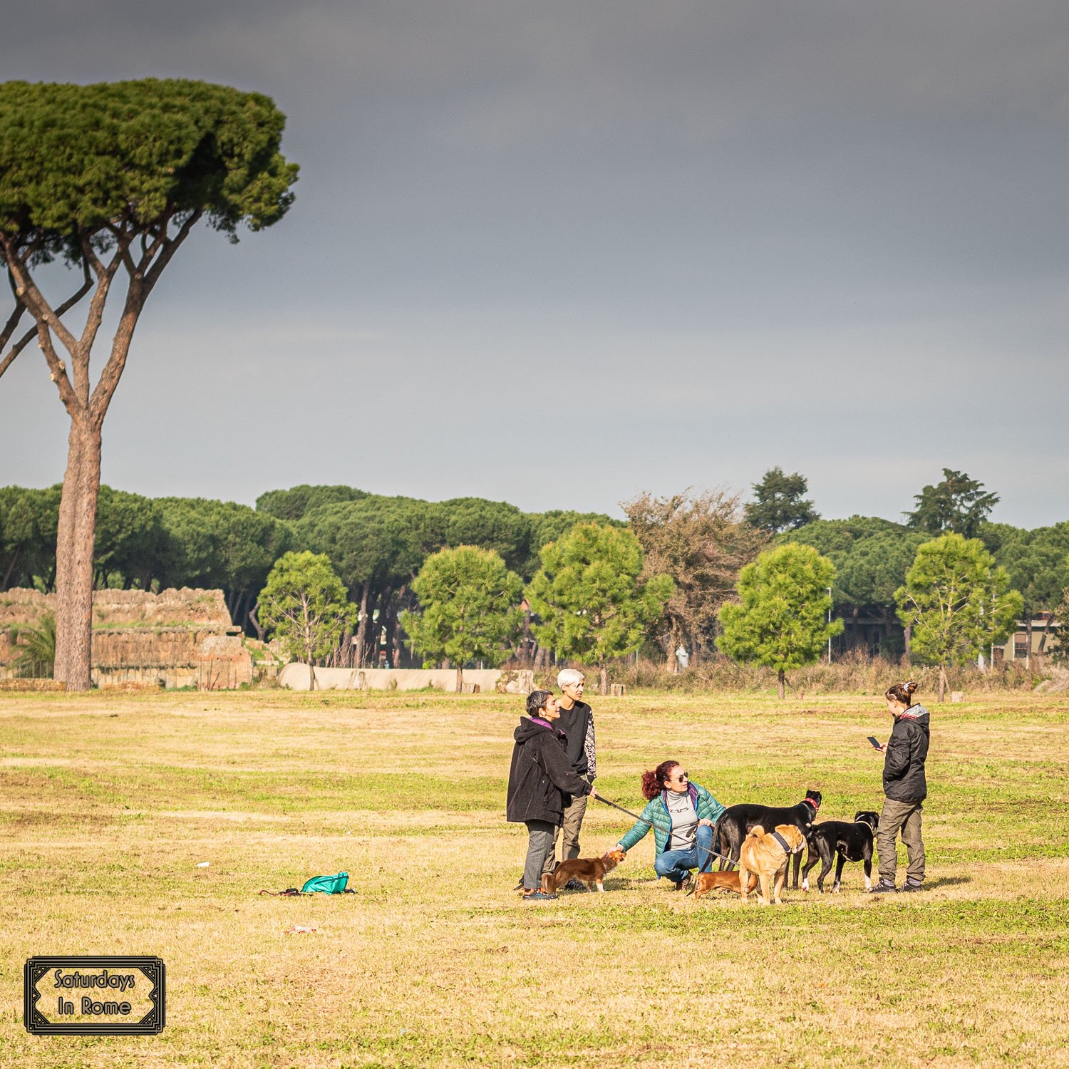 Living La Dolce Vita - Enjoy The Little Things