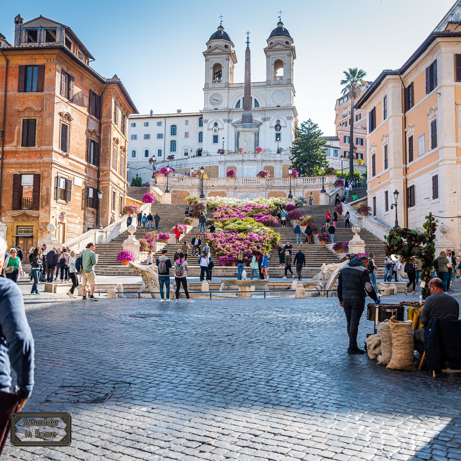 Piazza Di Spagna Rome - Spring Flowers