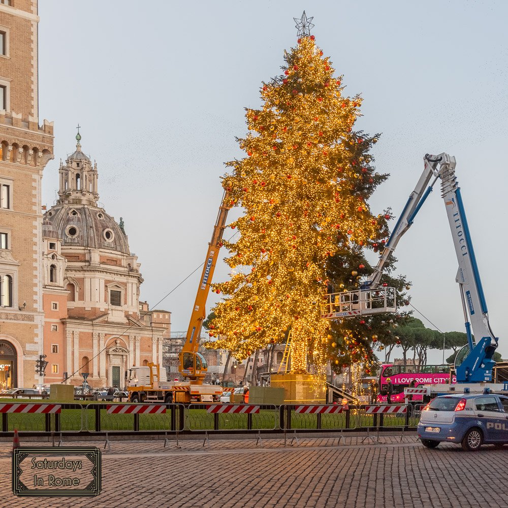 Rome In December - Xmas Tree