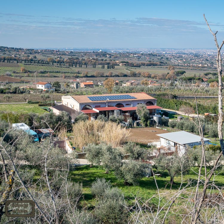 the best winery near me - Panorama