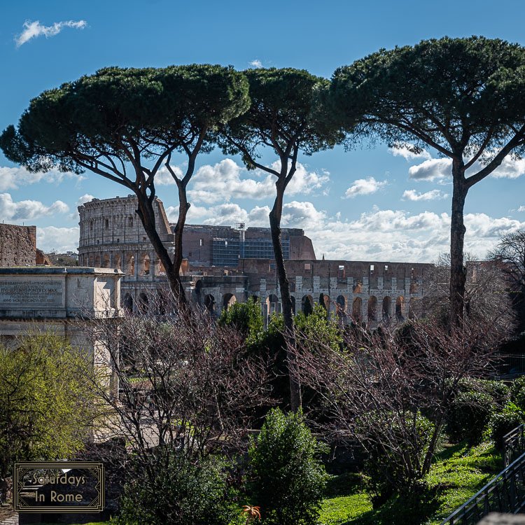the palatine hill in rome - Amazing Views