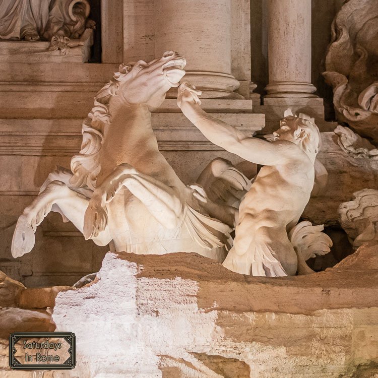 Trevi Fountain Coin Toss - Horse