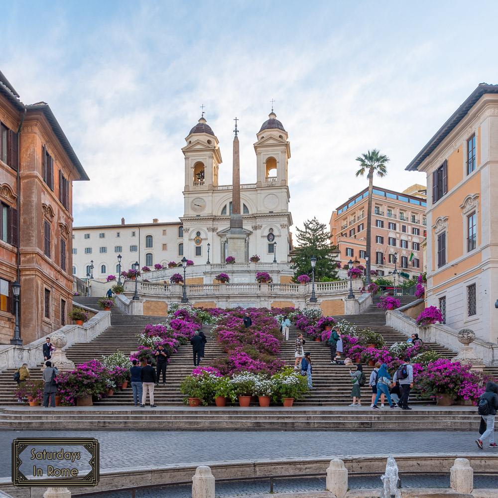 Spanish Steps Flowers - Sprintime