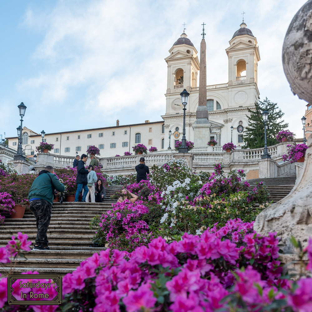 Spanish Steps Flowers - Beautiful Backdrop