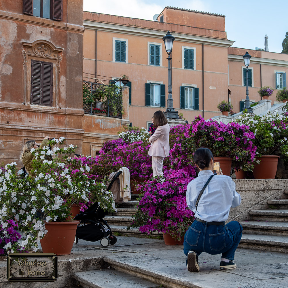 Spanish Steps Flowers - Posing