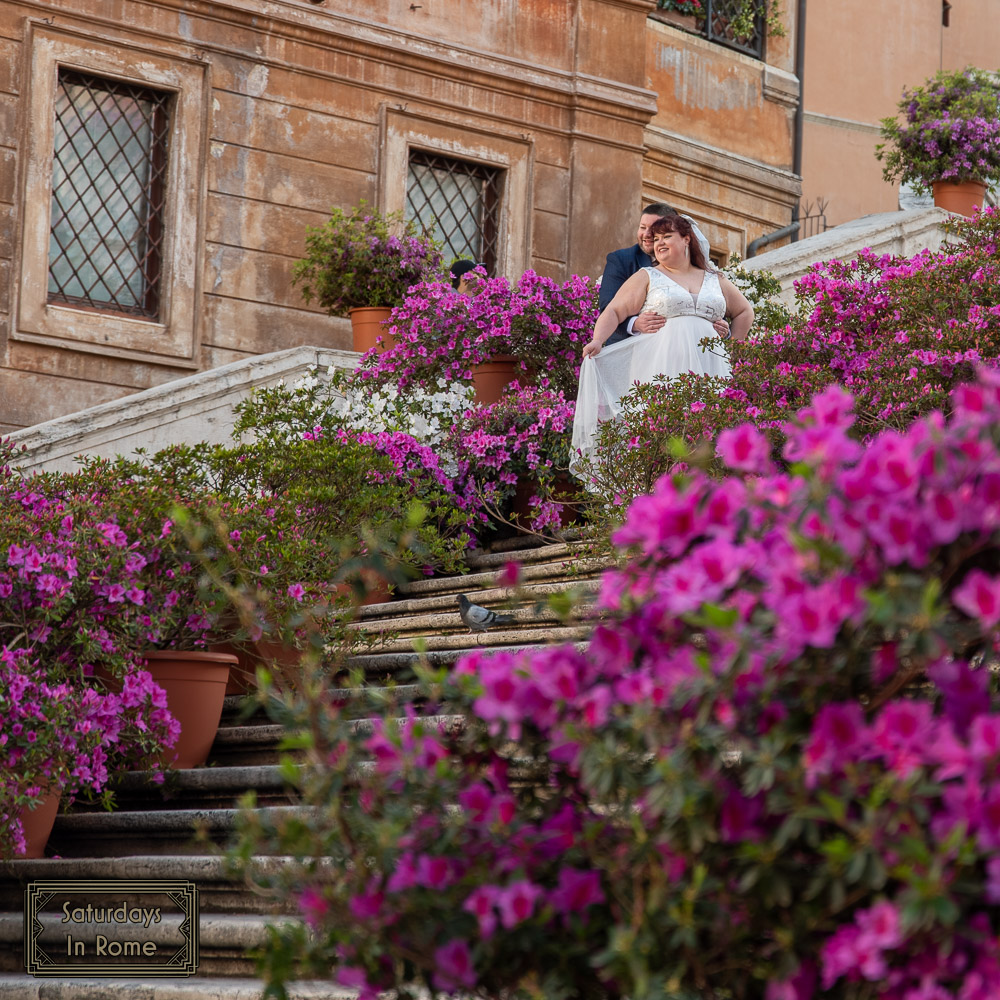 Spanish Steps Flowers - Celebration