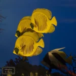 Museum of Zoology - Fish