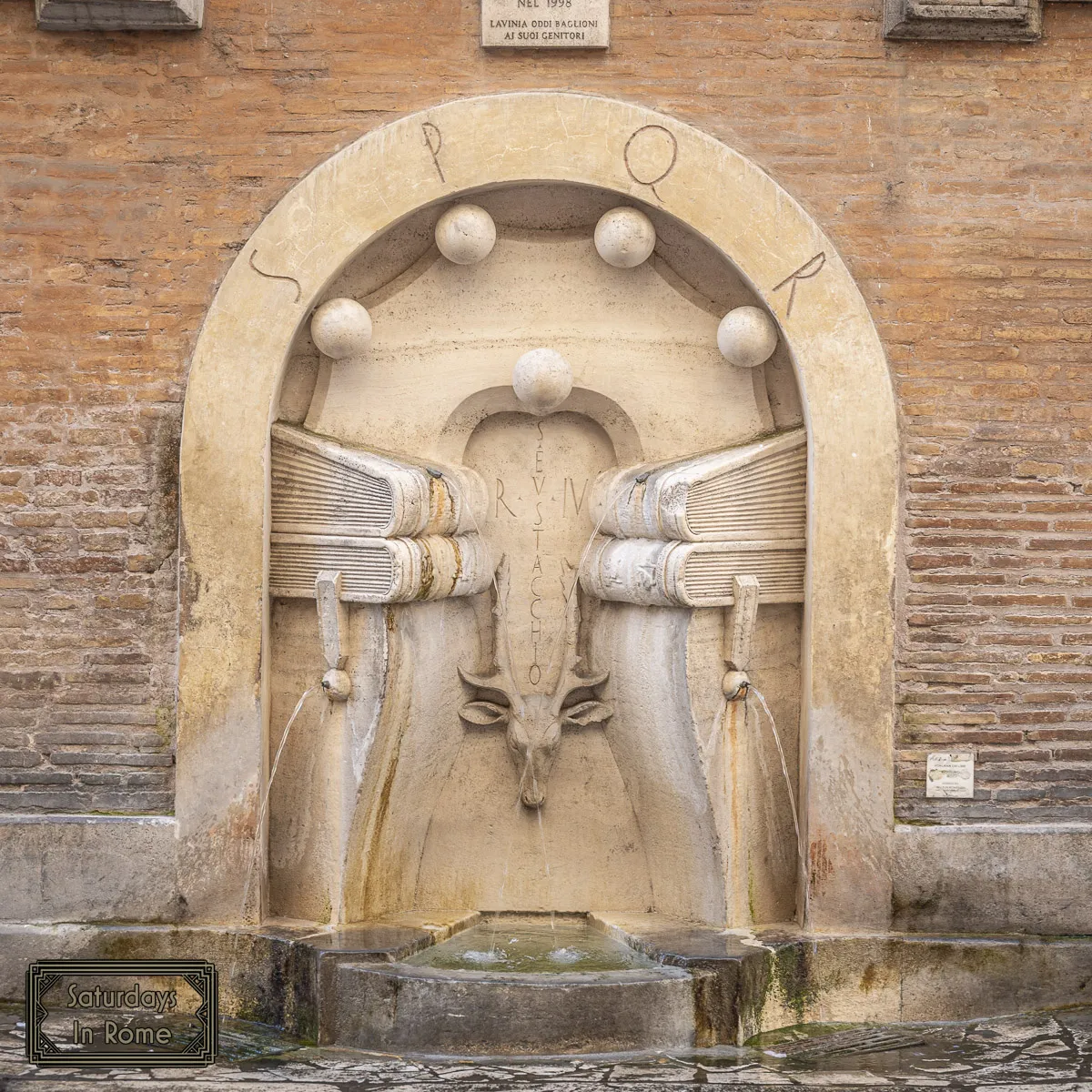 Rome Fountains - Books