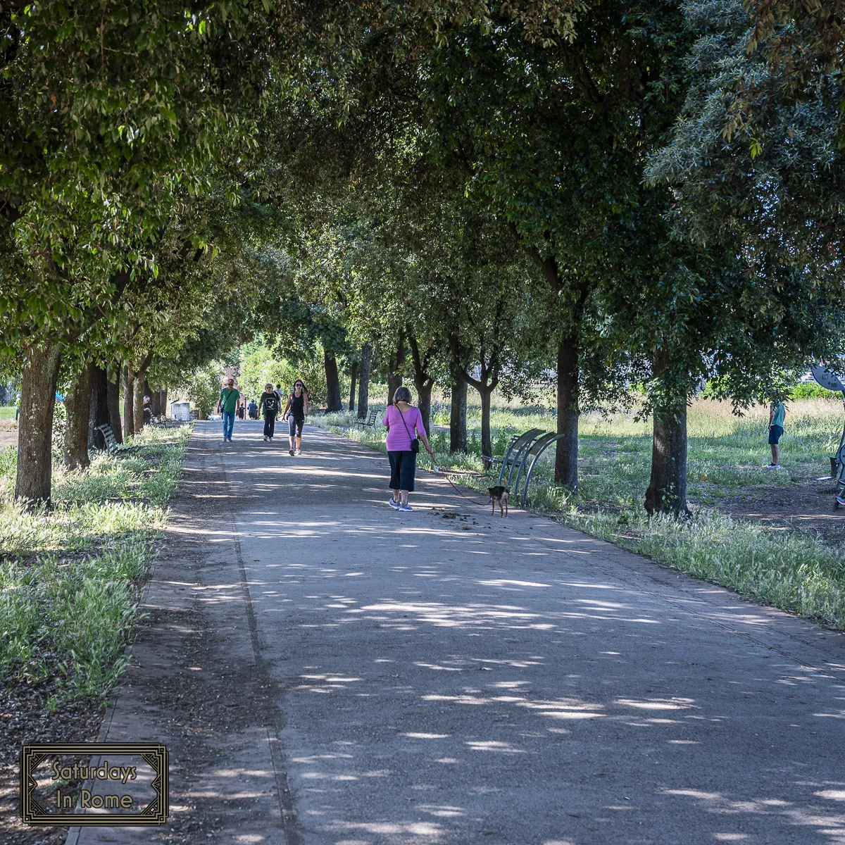 Rome Parks - Shaded Paths