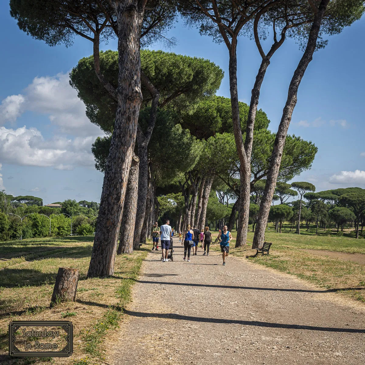 Rome Parks - Wide Running Tracks