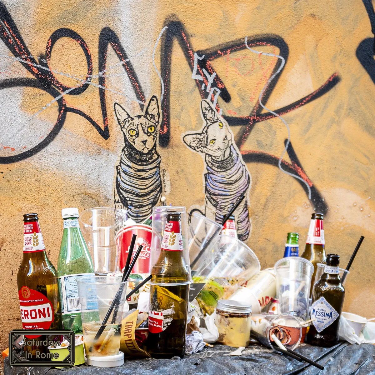 Living In Trastevere - Stacked Garbage