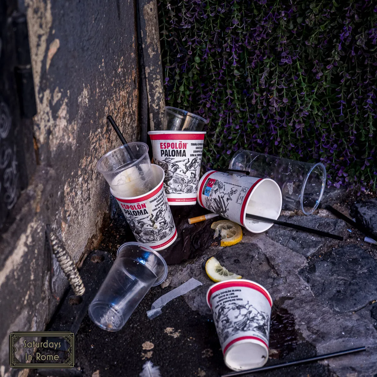 Living In Trastevere - Bar Cups