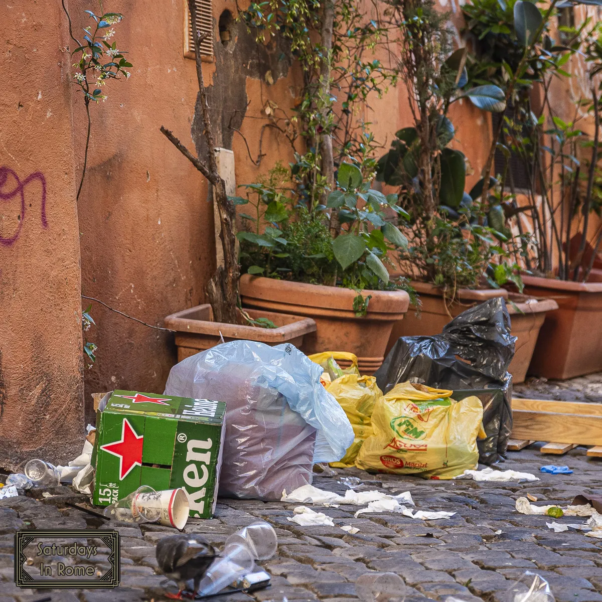 Living In Trastevere - Bags of Dumped Garbage