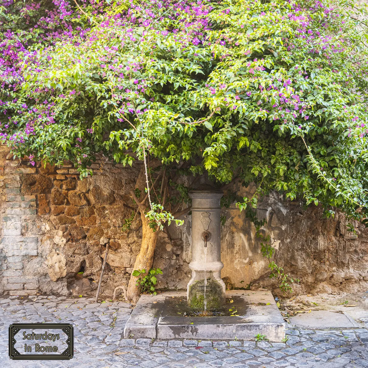 Living In Trastevere - What It Should Look Like