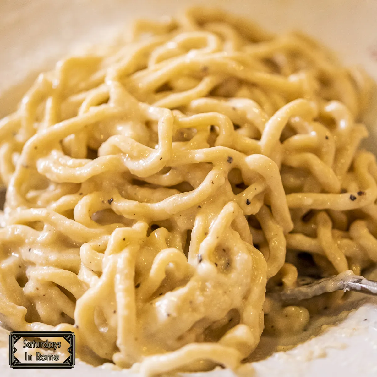 Restaurants In Rome - Cacio e Pepe