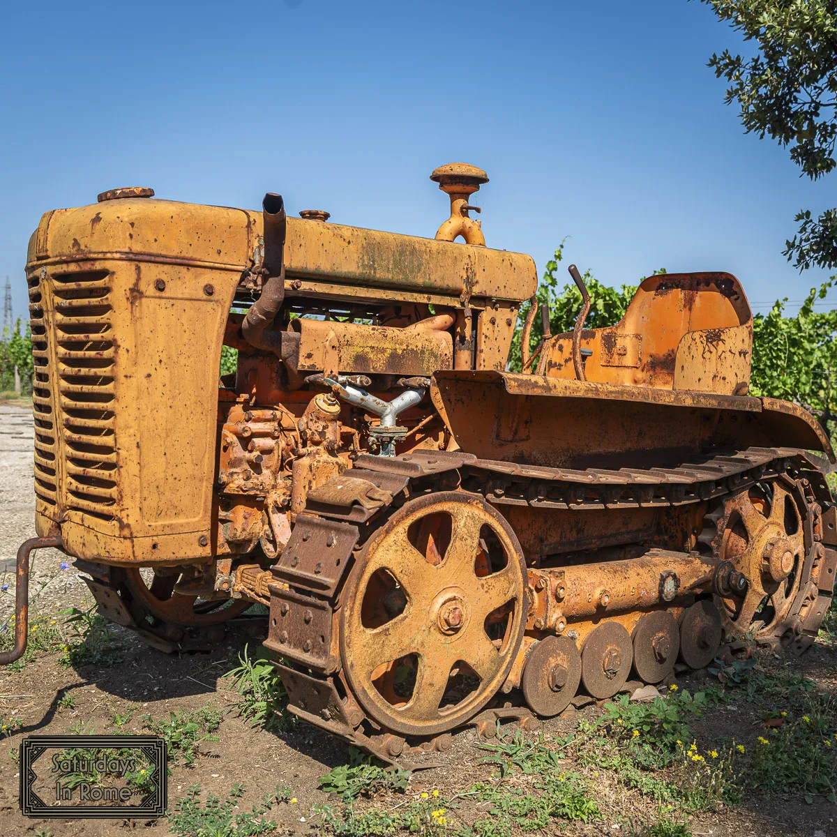 Wine In Rome - Farm Tractor