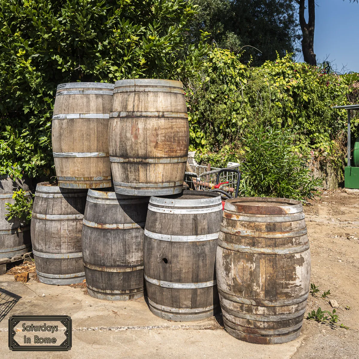 Wine In Rome - Barrels