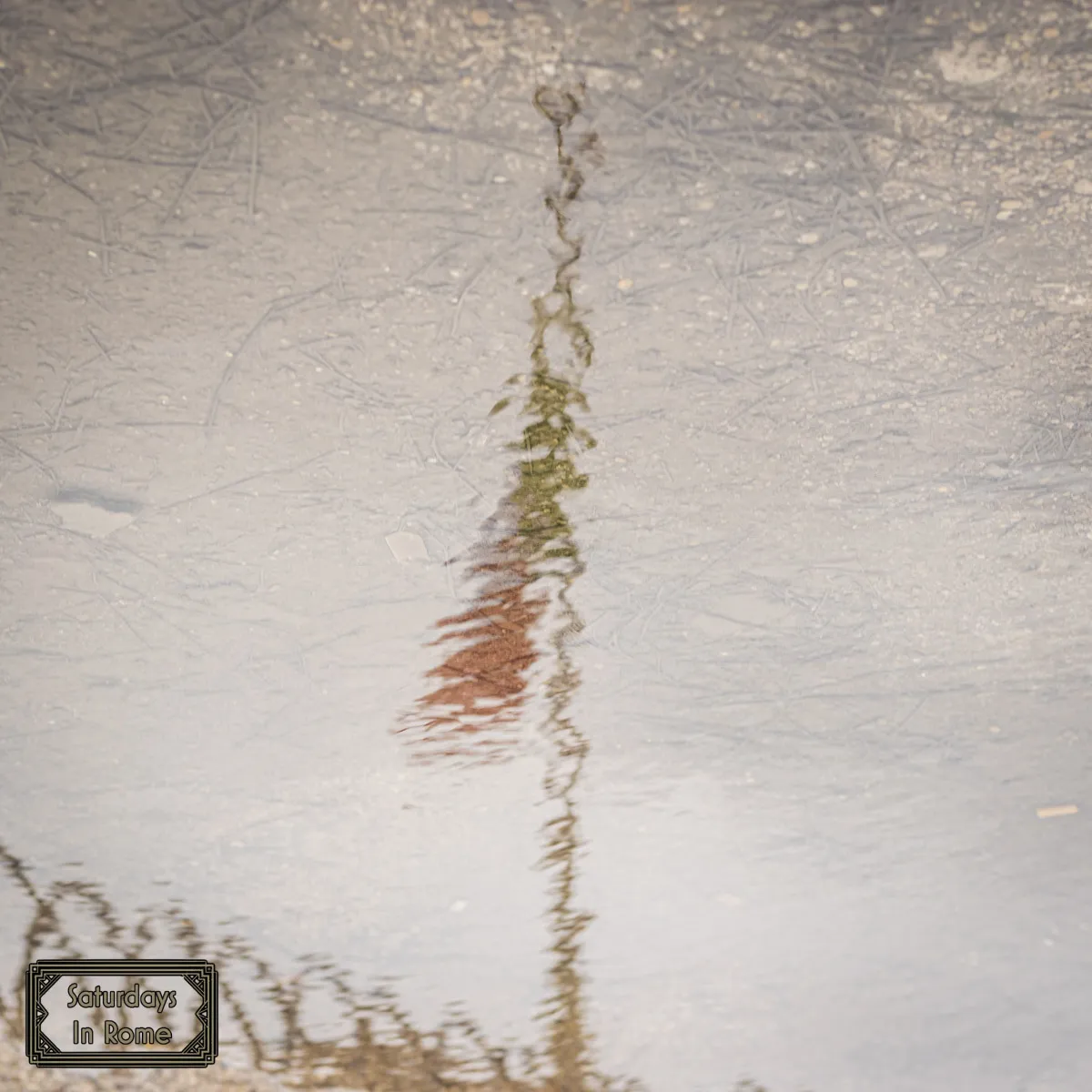 Rainy Season In Rome - Flag In Puddle