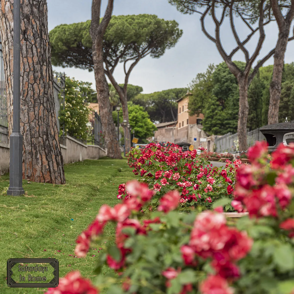 Rome Rose Garden - Red Rose Entrance