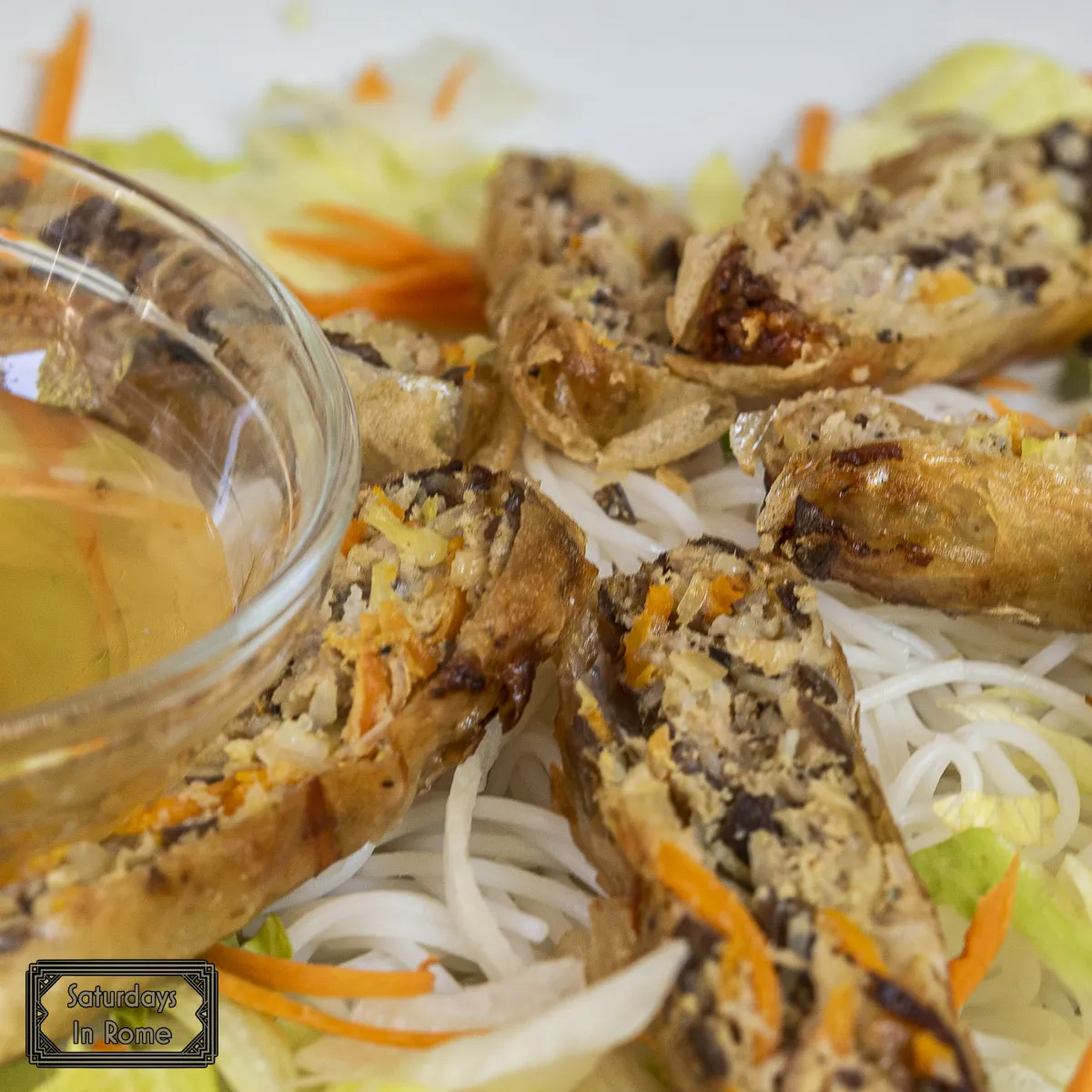 Foods To Try In Rome Italy - Vietnamese Fried Egg Rolls