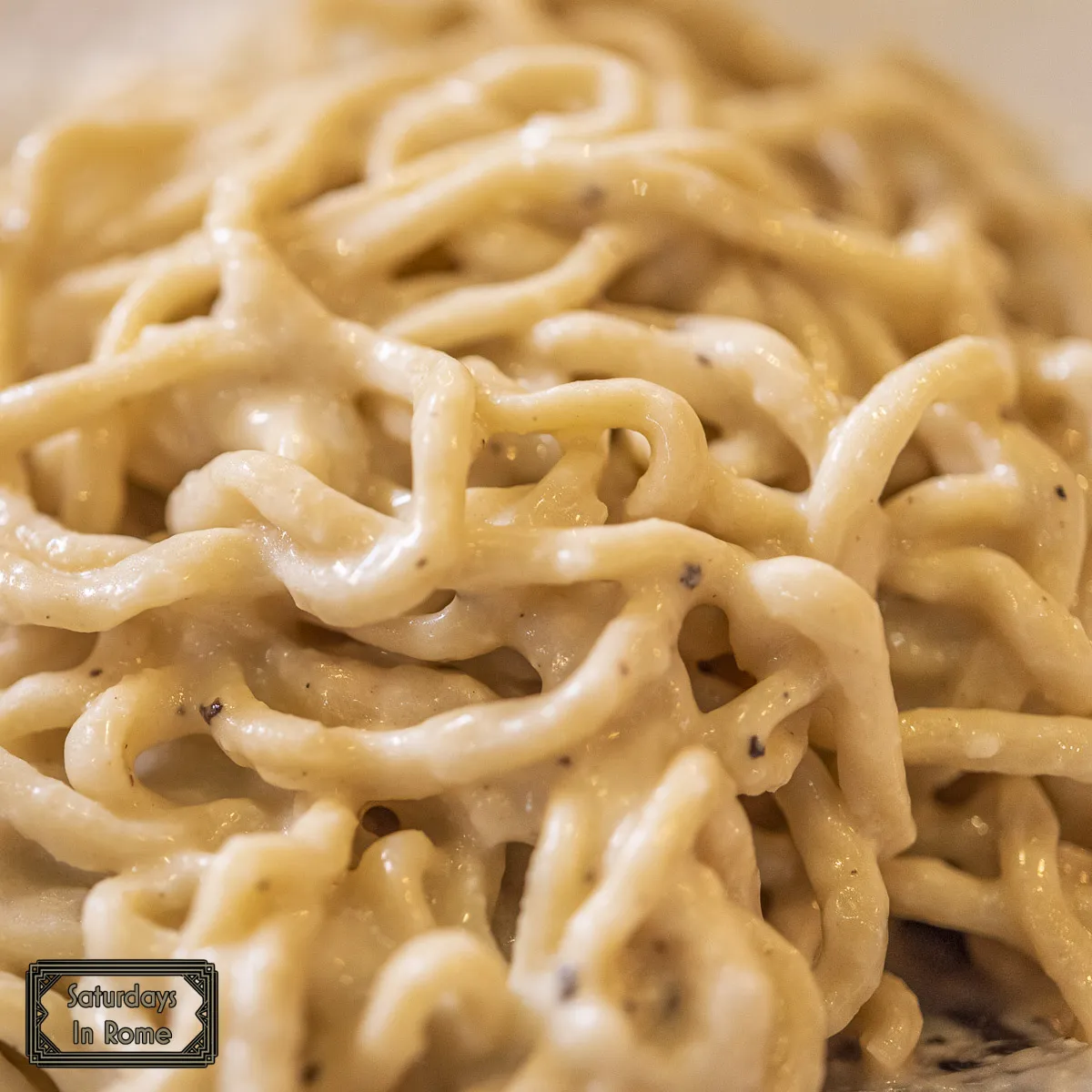Pasta in Rome - Classic Cacio e Pepe