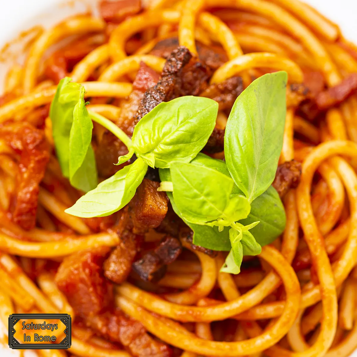 Pasta in Rome - More Amatriciana