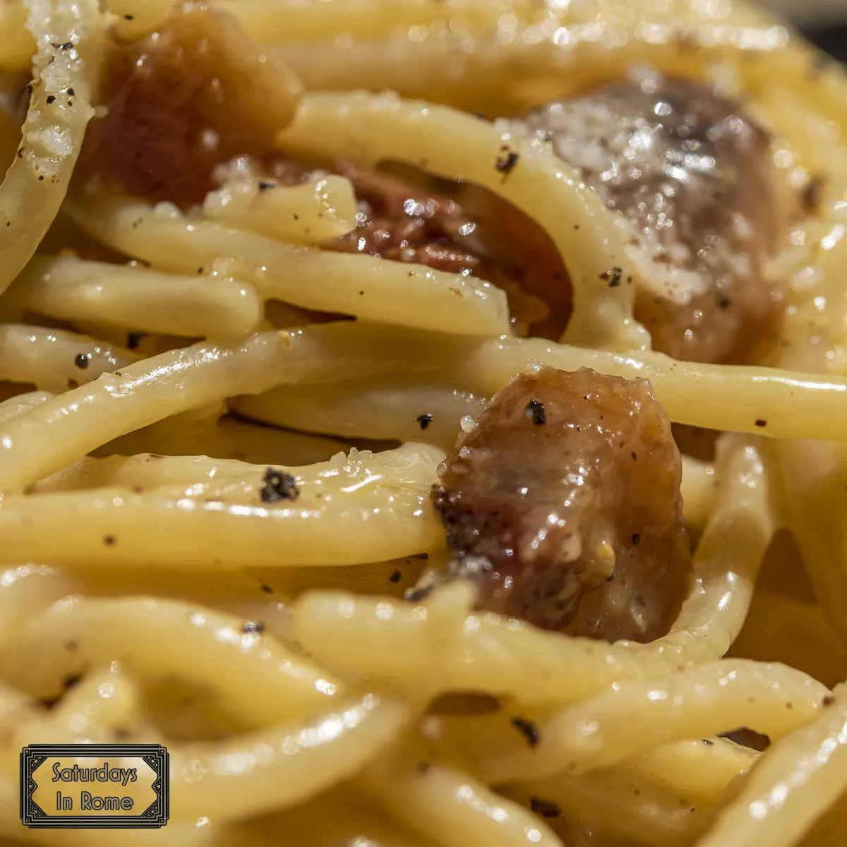 Pasta in Rome - Carbonara