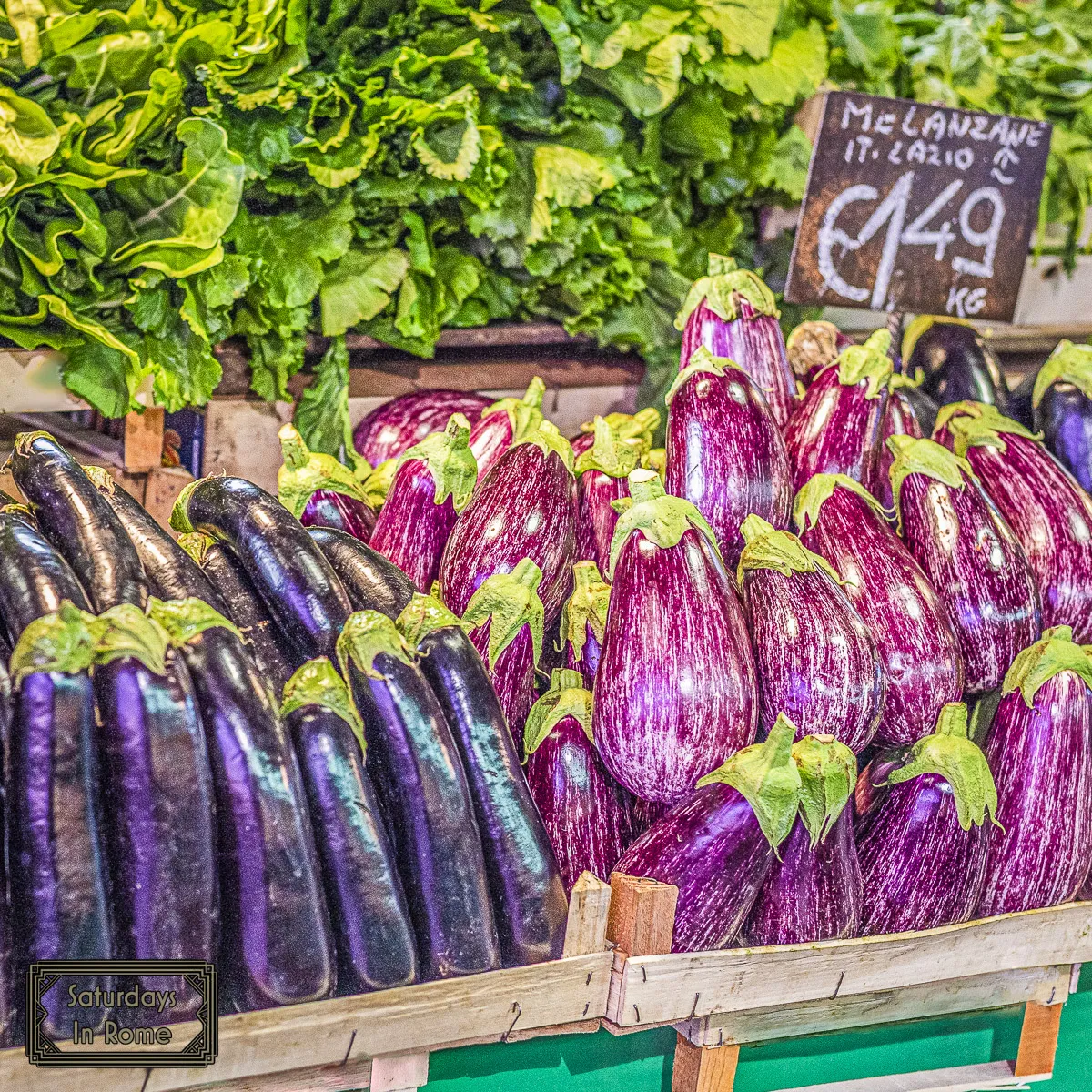 Farmers Markets In Rome - Eggplants