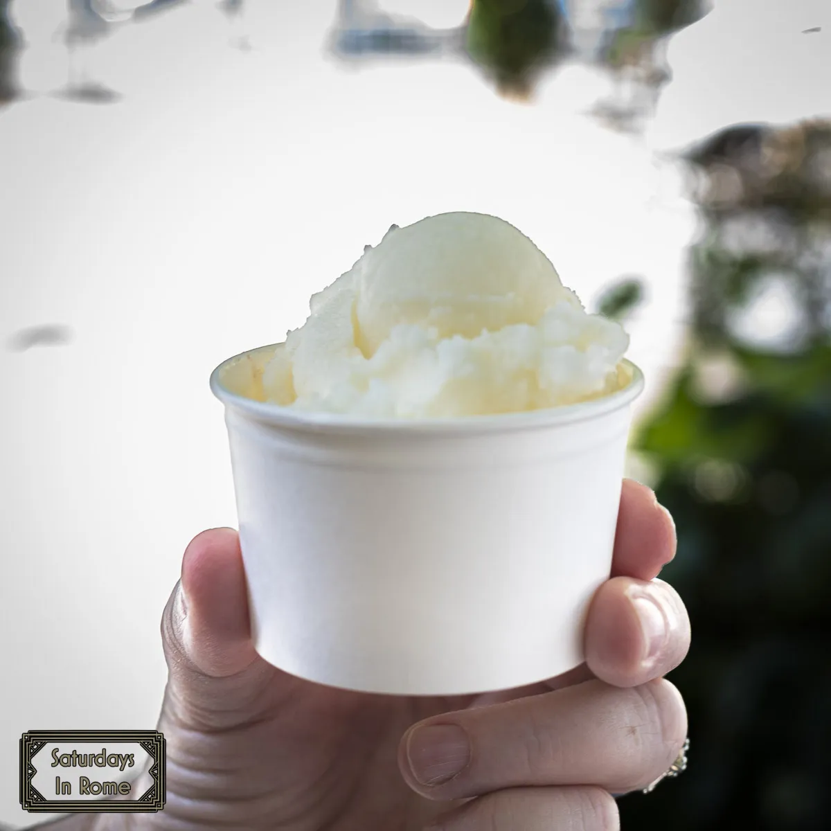 Torce Gelato - Lemon Sorbet