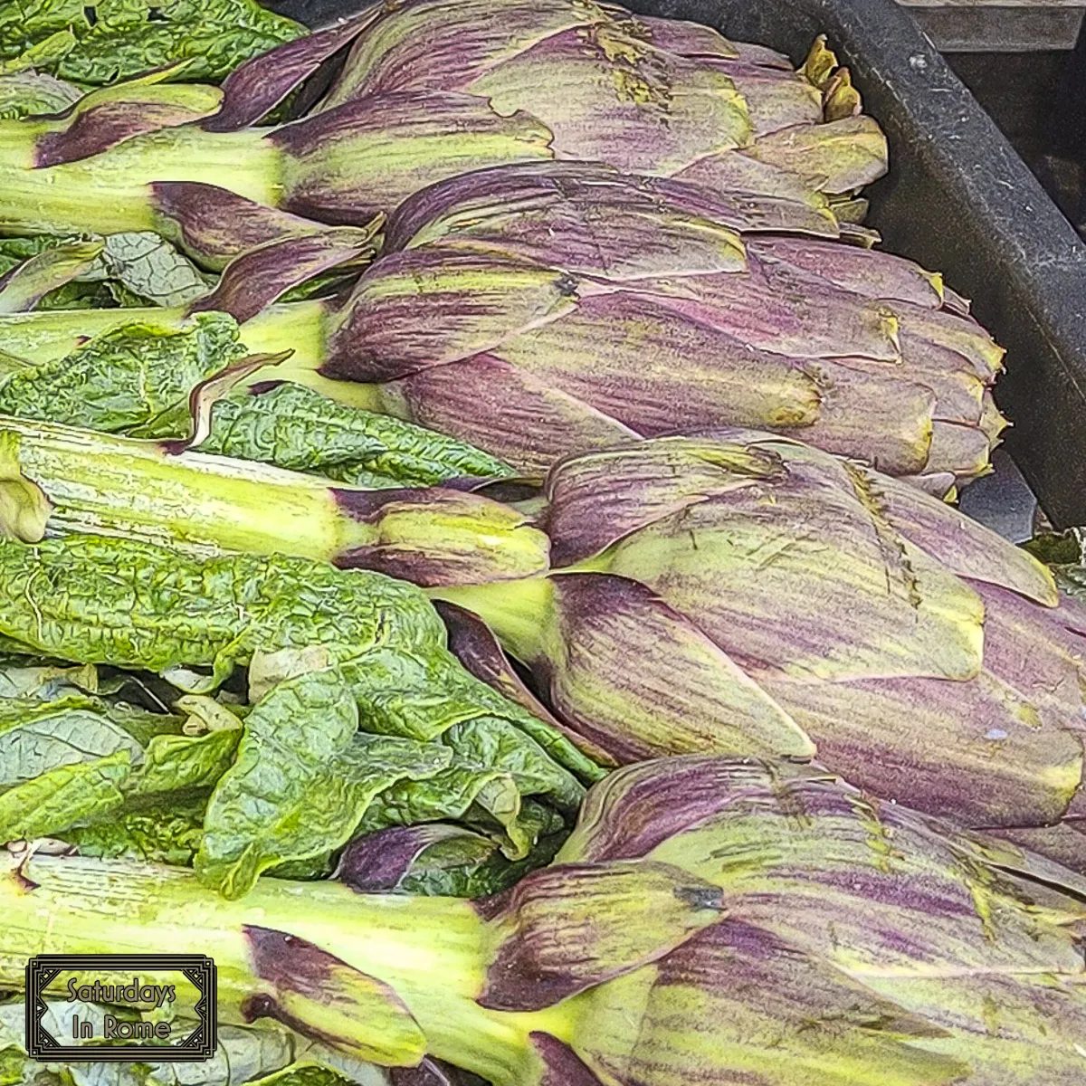 Vegetarian In Italy - Artichokes