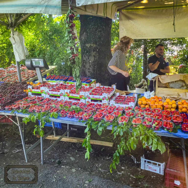 Nemi - Strawberry Festival