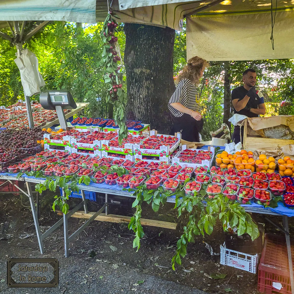 Nemi - Strawberry Vendors By The Shuttles