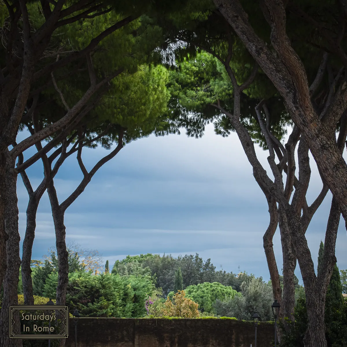 Second Time In Rome - Roman Orange Garden