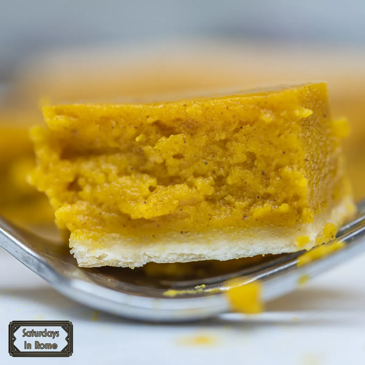 Italian Squash Pie Recipe -